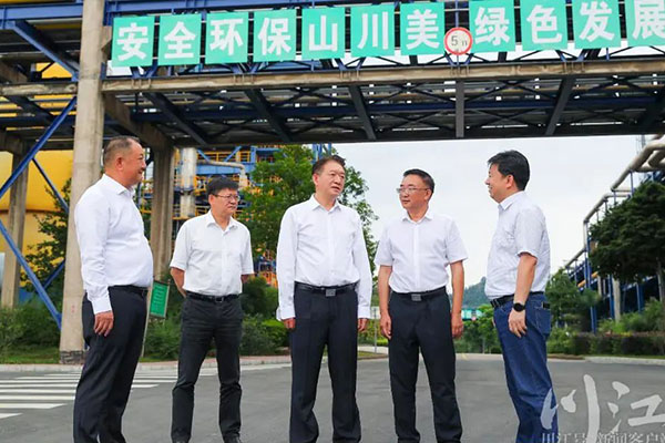 杨林兴：把新型工业化摆在更加突出的位置，让“四化同步”发展的主引擎作用更加凸显